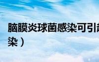 脑膜炎球菌感染可引起什么症（脑膜炎球菌感染）