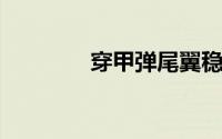 穿甲弹尾翼稳定丢弃穿甲弹