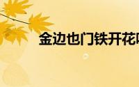 金边也门铁开花吗（金边也门铁）