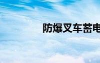 防爆叉车蓄电池（防爆叉）