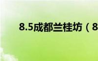 8.5成都兰桂坊（85成都兰桂坊事件）