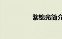 黎锦光简介（黎锦炯）