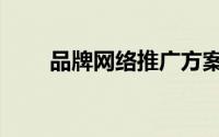 品牌网络推广方案（网络推广方案）
