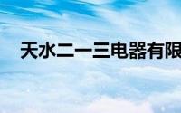 天水二一三电器有限公司是属于什么公司