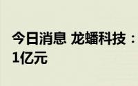 今日消息 龙蟠科技：拟发行可转债募资不超21亿元