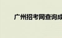 广州招考网查询成绩（广州招考网）