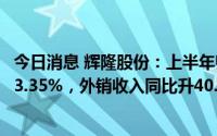 今日消息 辉隆股份：上半年归母净利润4.6亿元，同比增长33.35%，外销收入同比升40.45%