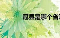 冠县是哪个省哪个市（冠县）