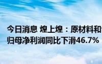 今日消息 煌上煌：原材料和包装材料成本持续上涨，上半年归母净利润同比下滑46.7%