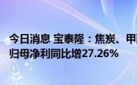 今日消息 宝泰隆：焦炭、甲醇等主要产品价格走高，上半年归母净利同比增27.26%