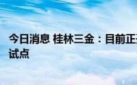 今日消息 桂林三金：目前正开展二、三线独家产品市场推广试点