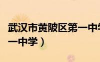 武汉市黄陂区第一中学邹娴（武汉市黄陂区第一中学）