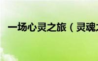 一场心灵之旅（灵魂之旅：不抱怨的世界）
