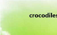 crocodiles和aligater