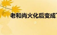 老和尚火化后变成了舍利子（老和尚）