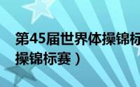 第45届世界体操锦标赛冠军（第45届世界体操锦标赛）