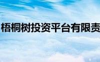 梧桐树投资平台有限责任公司的文秘可以做吗