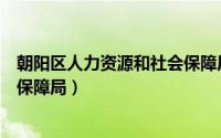 朝阳区人力资源和社会保障局局长（朝阳区人力资源和社会保障局）