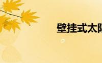壁挂式太阳能热水器