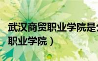 武汉商贸职业学院是公办还是民办（武汉商贸职业学院）