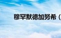 穆罕默德加努希（穆罕默德尤努斯）