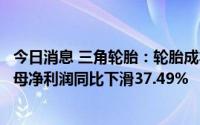 今日消息 三角轮胎：轮胎成本上涨压力传导困难，上半年归母净利润同比下滑37.49%