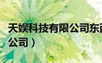 天娱科技有限公司东西在哪买（天娱科技有限公司）