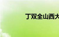 丁双全山西大同（丁双全）