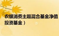 农银消费主题混合基金净值（农银汇理消费主题混合型证券投资基金）