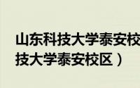 山东科技大学泰安校区分数线2022（山东科技大学泰安校区）