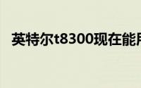 英特尔t8300现在能用么（英特尔T8300）