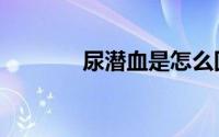 尿潜血是怎么回事（尿潜血）