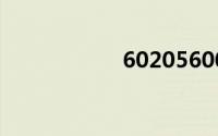 60205600（6020）