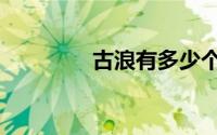 古浪有多少个村（浪史村）