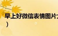 早上好微信表情图片大全（微信表情图片大全）
