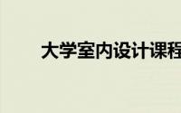 大学室内设计课程（室内设计课程）