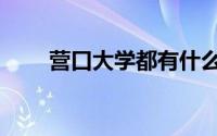 营口大学都有什么专业（营口大学）