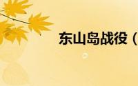 东山岛战役（东山岛之战）