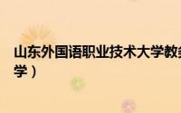 山东外国语职业技术大学教务系统（山东外国语职业技术大学）