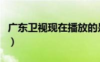 广东卫视现在播放的是什么电视剧（广东卫视）