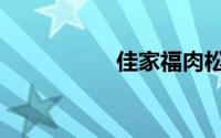 佳家福肉松（佳家福）