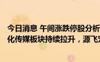 今日消息 午间涨跌停股分析：31只涨停股，3只跌停股，文化传媒板块持续拉升，源飞宠物9连板，万和电气4连板