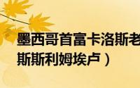 墨西哥首富卡洛斯老婆（拉美首富——卡洛斯斯利姆埃卢）