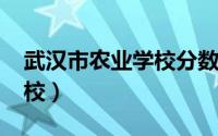 武汉市农业学校分数线2022（武汉市农业学校）
