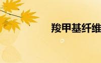 羧甲基纤维素钠滴眼液