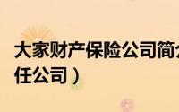 大家财产保险公司简介（大家财产保险有限责任公司）