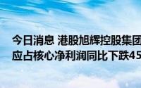 今日消息 港股旭辉控股集团跌超2%，公司上半年股东权益应占核心净利润同比下跌45.6%