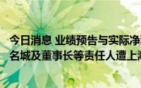 今日消息 业绩预告与实际净利润差异大导致信披不准确，大名城及董事长等责任人遭上海证监局出具警示函