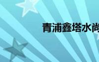 青浦鑫塔水尚（鑫塔水尚）