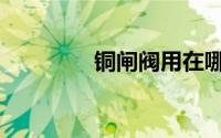 铜闸阀用在哪里（铜闸阀）